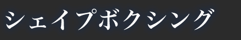 シェイプボクシング
