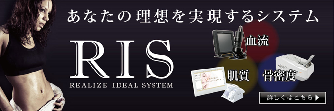 理想を実現するシステム　RIS